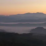 Poggio Dei Prugnoli