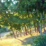 Poggio Dei Prugnoli