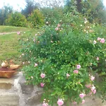Nocleg ze śniadaniem Poggio Dei Prugnoli Tavoleto