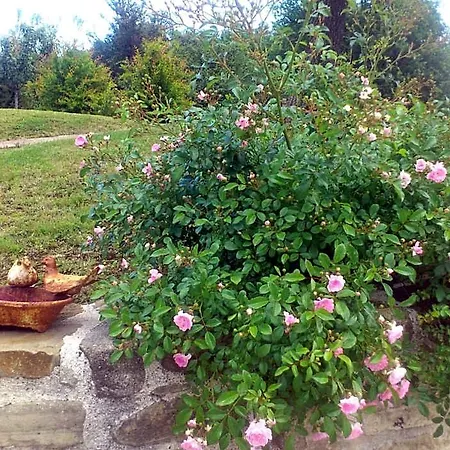 Poggio Dei Prugnoli לינה וארוחת בוקר