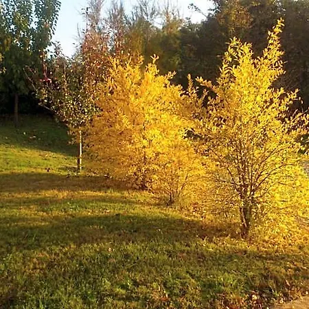 Poggio Dei Prugnoli לינה וארוחת בוקר Tavoleto