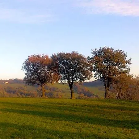 Poggio Dei Prugnoli לינה וארוחת בוקר Tavoleto