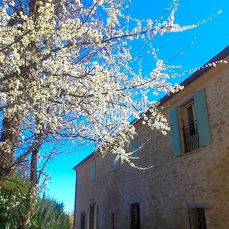 Poggio Dei Prugnoli לינה וארוחת בוקר 3*