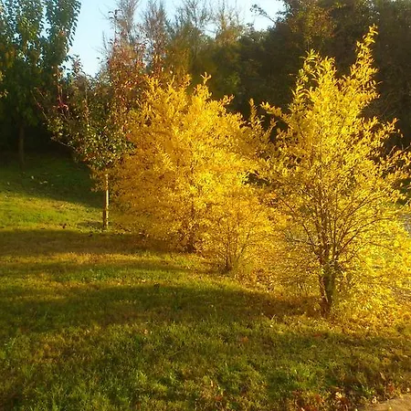 Poggio Dei Prugnoli Tavoleto