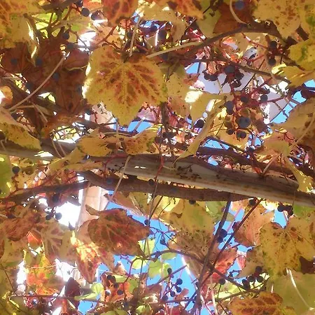 Poggio Dei Prugnoli Tavoleto