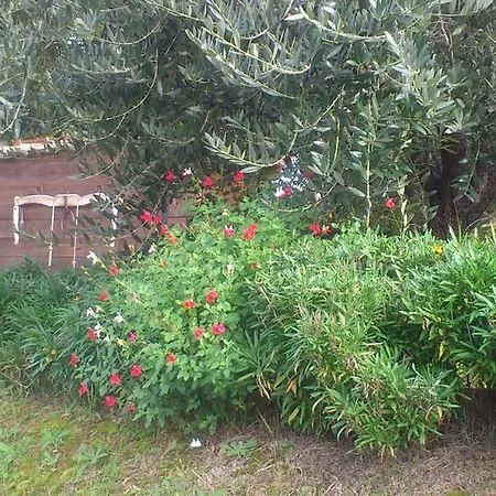 Poggio Dei Prugnoli Tavoleto