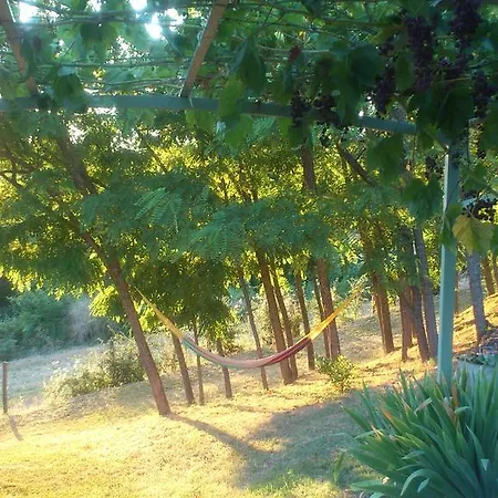 Poggio Dei Prugnoli