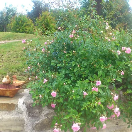 לינה וארוחת בוקר Poggio Dei Prugnoli Tavoleto