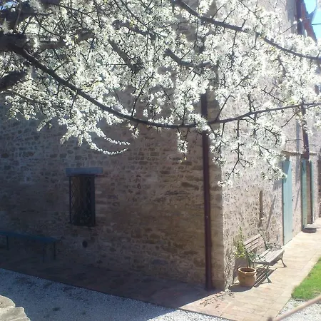 Bed and Breakfast Poggio Dei Prugnoli *