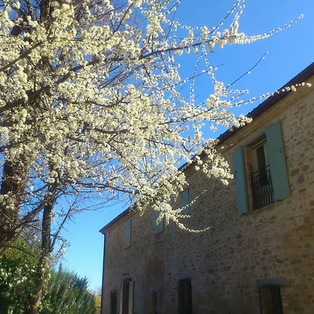 Bed & Breakfast Poggio Dei Prugnoli Tavoleto