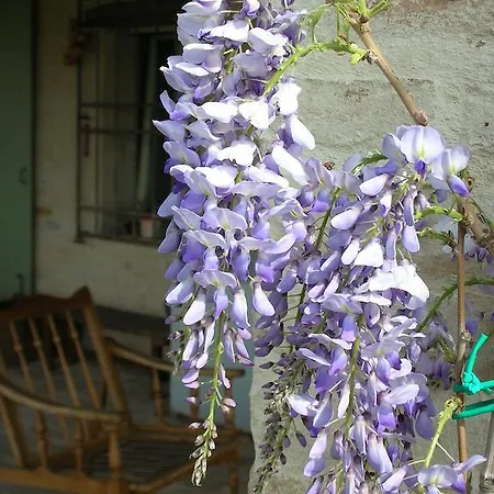 Bed & Breakfast Poggio Dei Prugnoli
