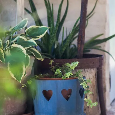 Frühstückspension Poggio Dei Prugnoli