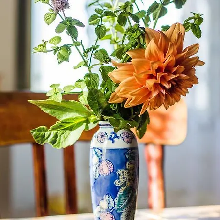 Poggio Dei Prugnoli 3*