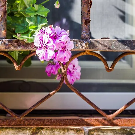 Poggio Dei Prugnoli Tavoleto